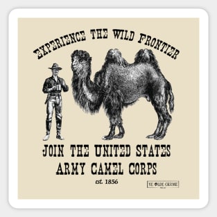 Join the Camel Corps Sticker